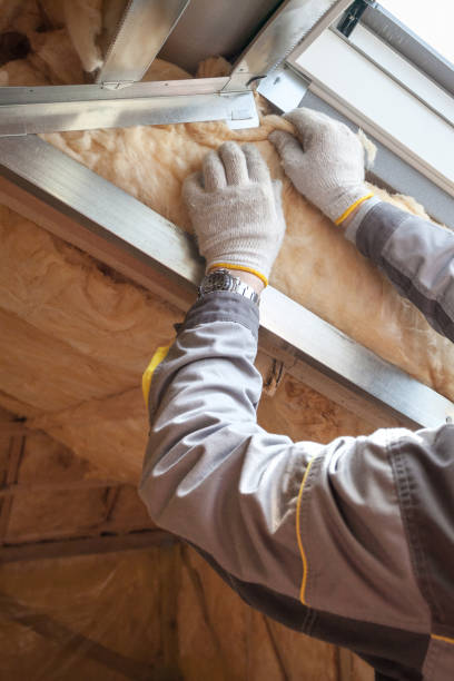Best Insulation Installation Services in Folly Beach, SC
